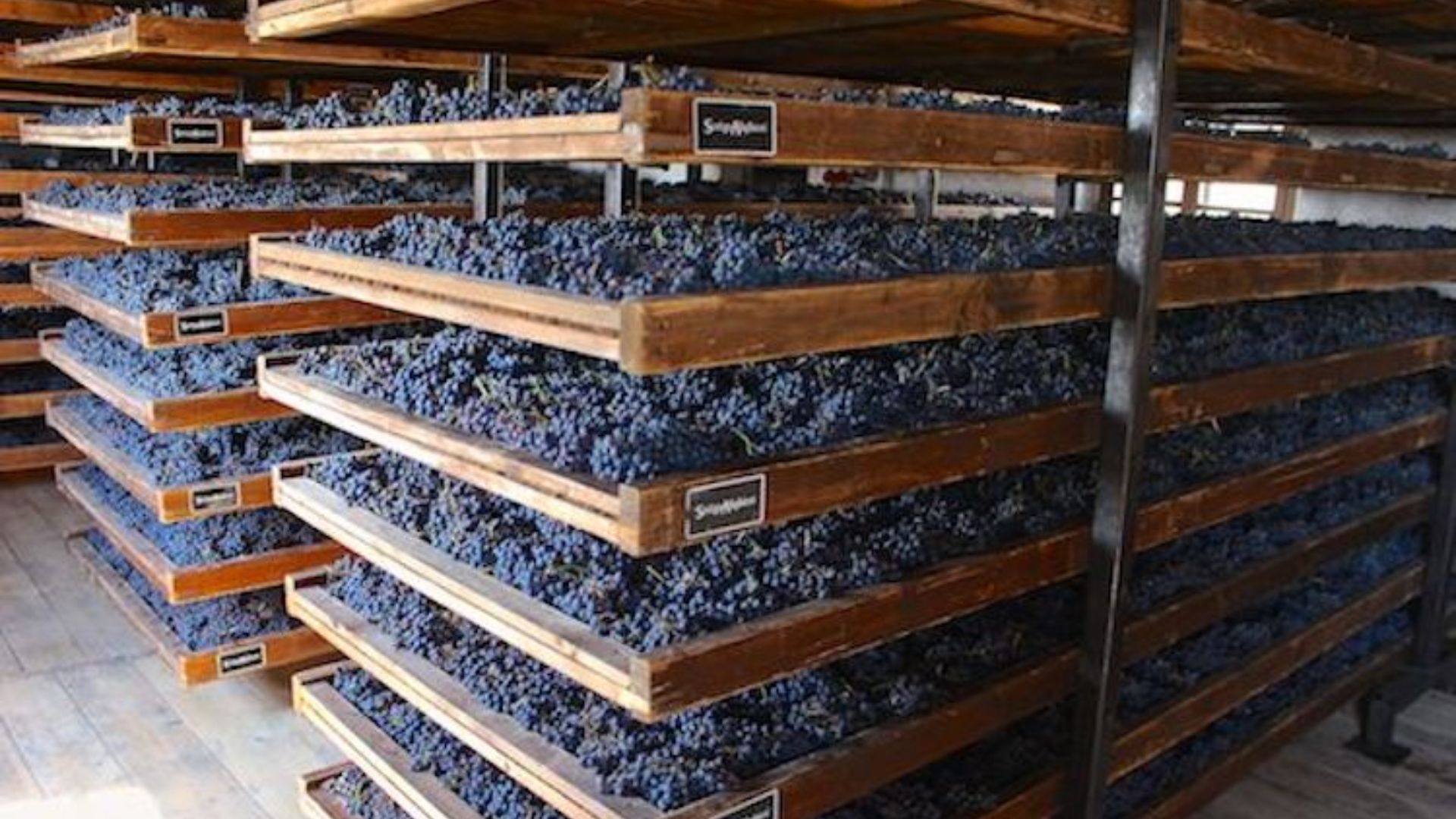 ZiRonda - Noble Estates Wine & Spirits